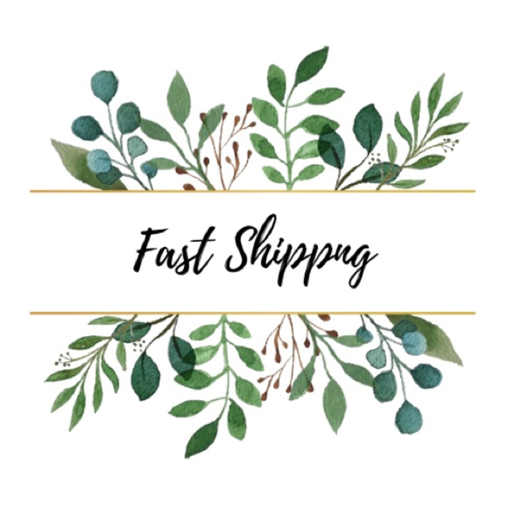 Same or next day shipping